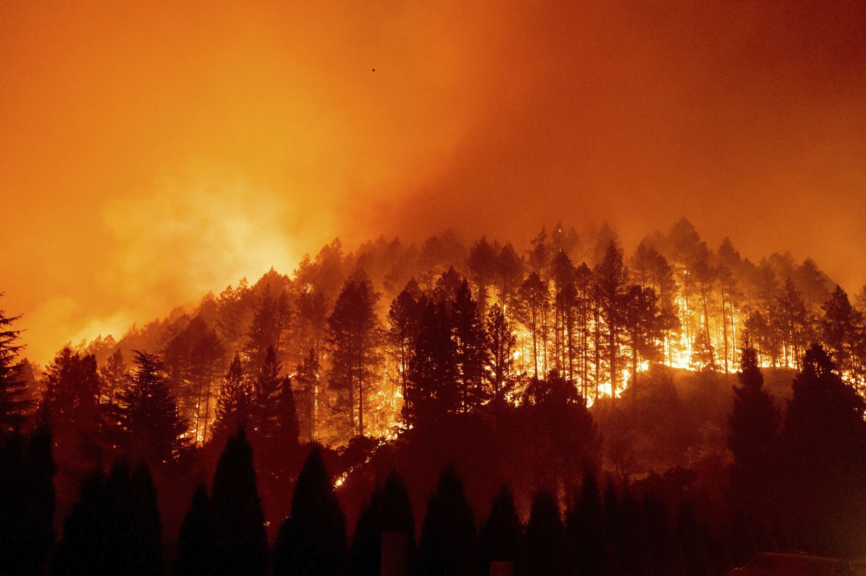 California Wildfires